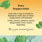 Twinings Peppermint Tea 80 Tea Bags 160g Refreshing Herbal Tea Blend