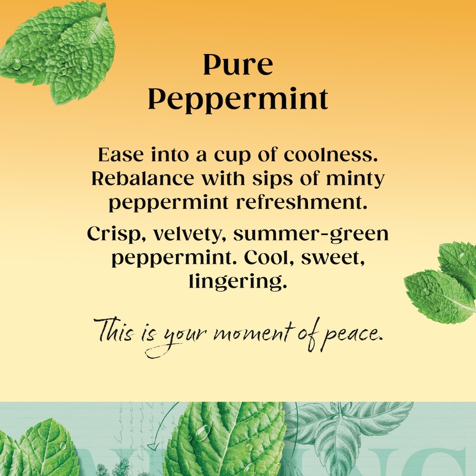 Twinings Pure Peppermint Tea Bags 20 Pack 40g Refreshing Herbal Tea
