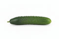 Whole Fresh Cucumber – Crisp & Juicy (Each)