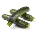 Courgettes Fresh & Tender Loose
