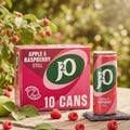 J2O Apple & Raspberry Drink 10x250ml Cans Fruity Refreshment Pack