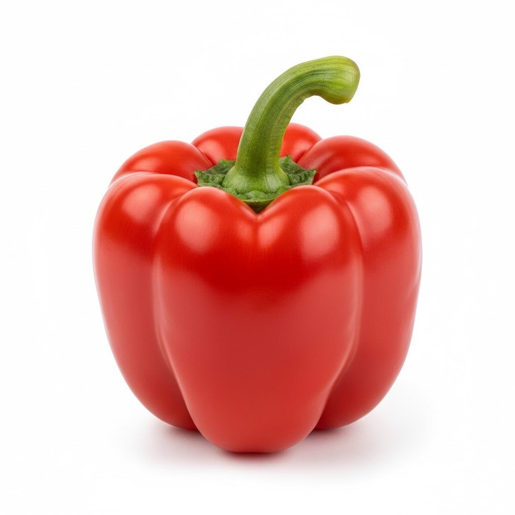 Fresh Red Pepper – Sweet & Crunchy (Each)