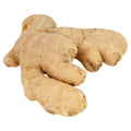 Root Ginger Fresh & Aromatic Loose