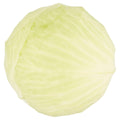 White Cabbage Fresh & Crisp Each