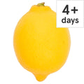 Fresh Lemon – Zesty Citrus Fruit (Each)