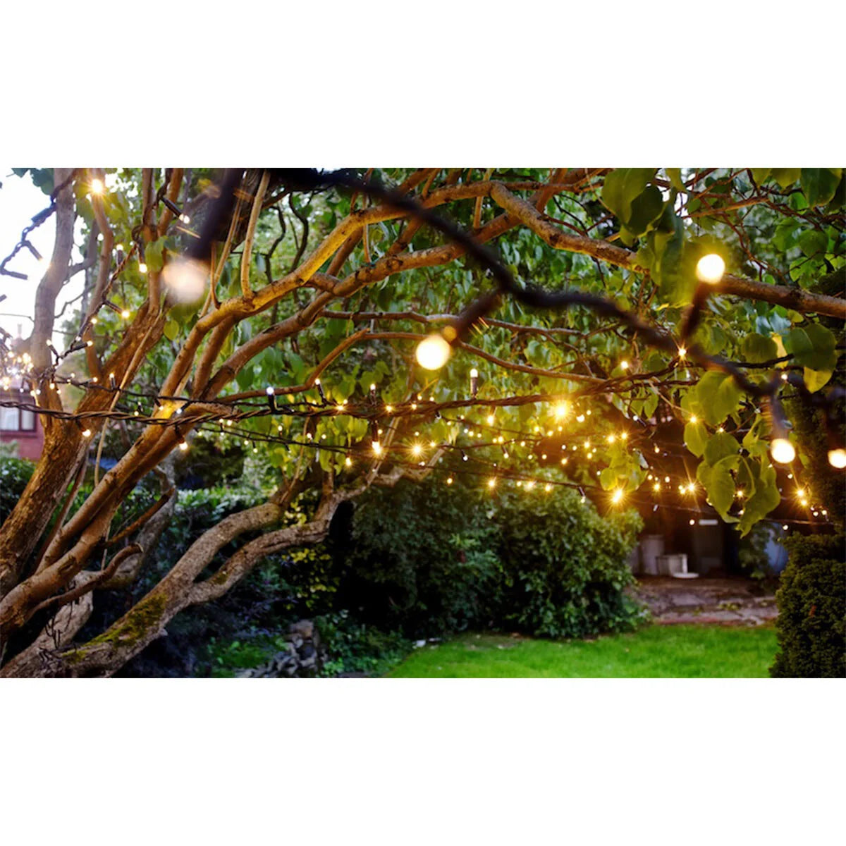 Lights4You 66ft (20m) 120 LED Warm White Outdoor String Lights