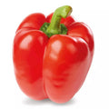Red Pepper Fresh & Crisp