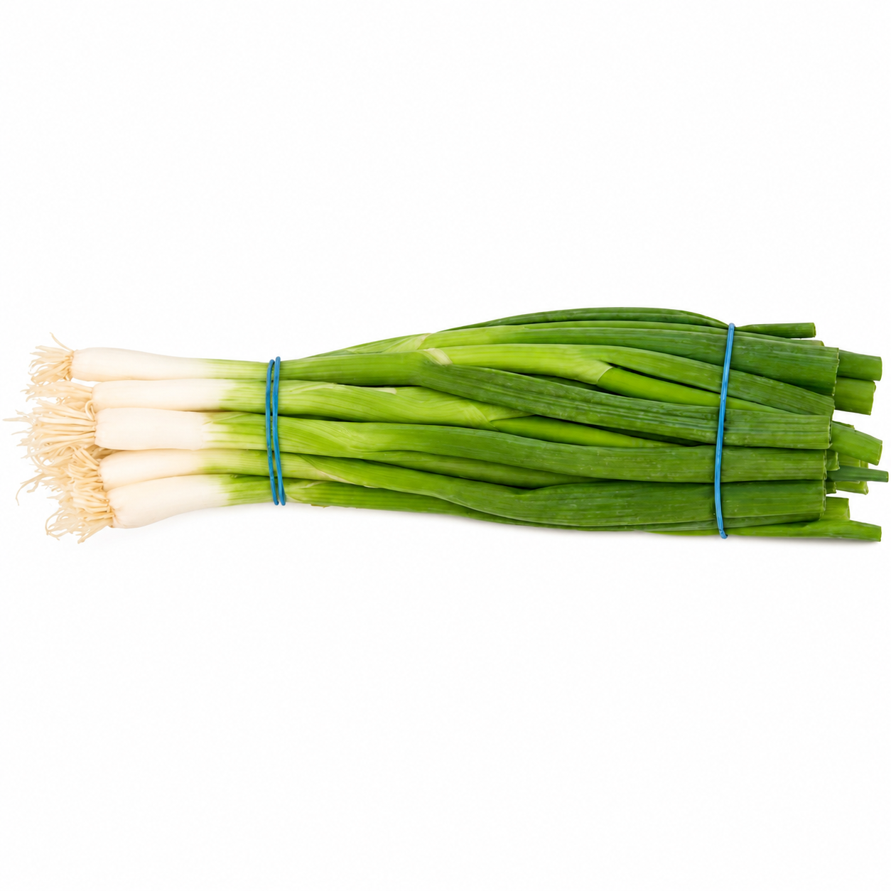 Bunched Spring Onions 100G