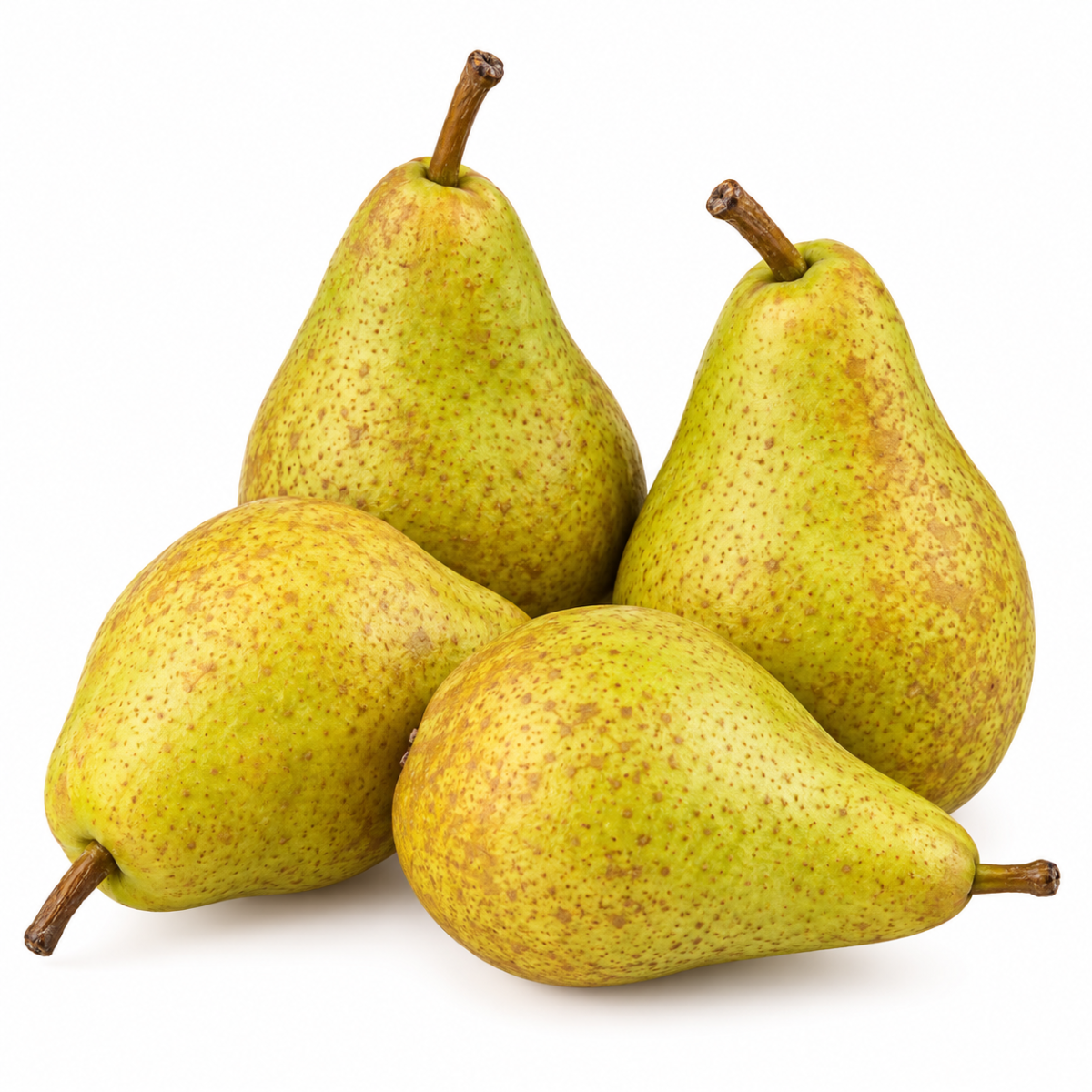 Conference Pears Pack 610G