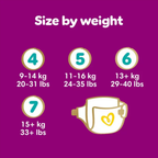 Pampers Premium Protection, Size 6, 144 Pack