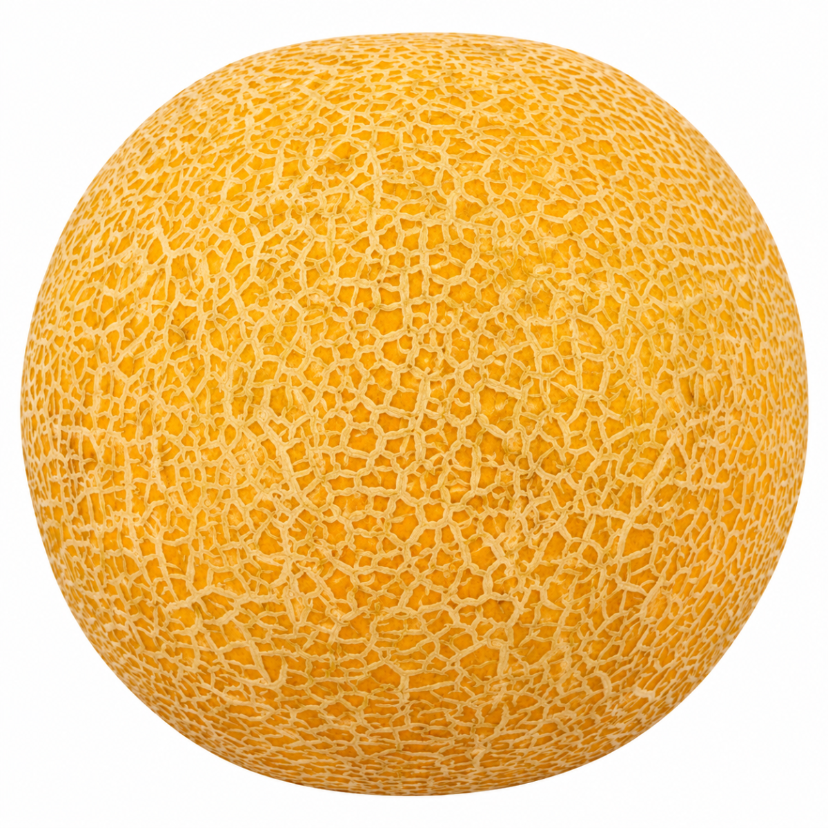 Jaffa Giant Galia Melon Each