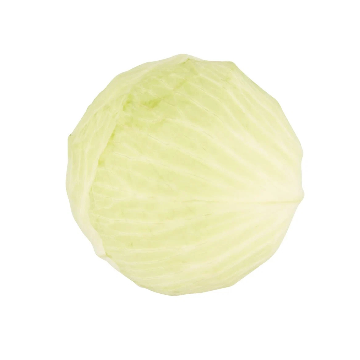 White Cabbage Fresh & Crisp Each