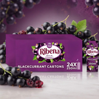 Ribena Ready to Drink Blackcurrant, 24 x 250ml