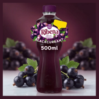 Ribena Blackcurrant PMP, 12 x 500ml