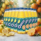 Oasis Citrus Punch, 12 x 500ml