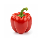 Fresh Red Pepper – Sweet & Crunchy (Each)