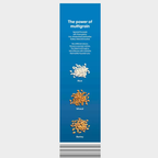 Kellogg's Special K, 2 x 750g