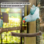 Fakhri 8pcs Apple Branch Wooden Bird Perch Set for Parrots & Small Birds