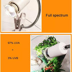 Fakhri UVA UVB Lamp Bulbs for Tortoises 50W (Pack of 4)