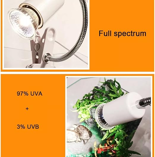 Fakhri UVA UVB Lamp Bulbs for Tortoises 50W (Pack of 4)