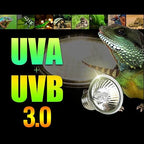 Fakhri UVA UVB Lamp Bulbs for Tortoises 50W (Pack of 4)
