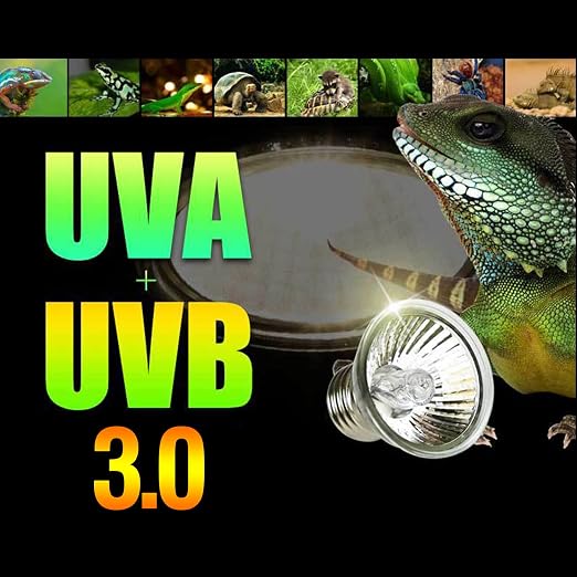Fakhri UVA UVB Lamp Bulbs for Tortoises 50W (Pack of 4)