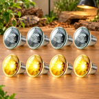 Fakhri UVA UVB Lamp Bulbs for Tortoises 50W (Pack of 8)