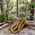 A bundle of birdseed hanging from a wooden stand on a rustic wooden table, with several colorful birds perched on branches and plants in the background.
