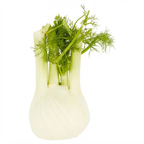 Fennel pack of 1