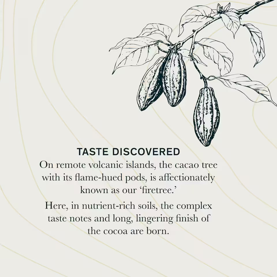 Firetree Rich Volcanic Chocolate 175g (Pack of 1)