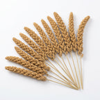 Fakhri Millet Spray - Pack of 50