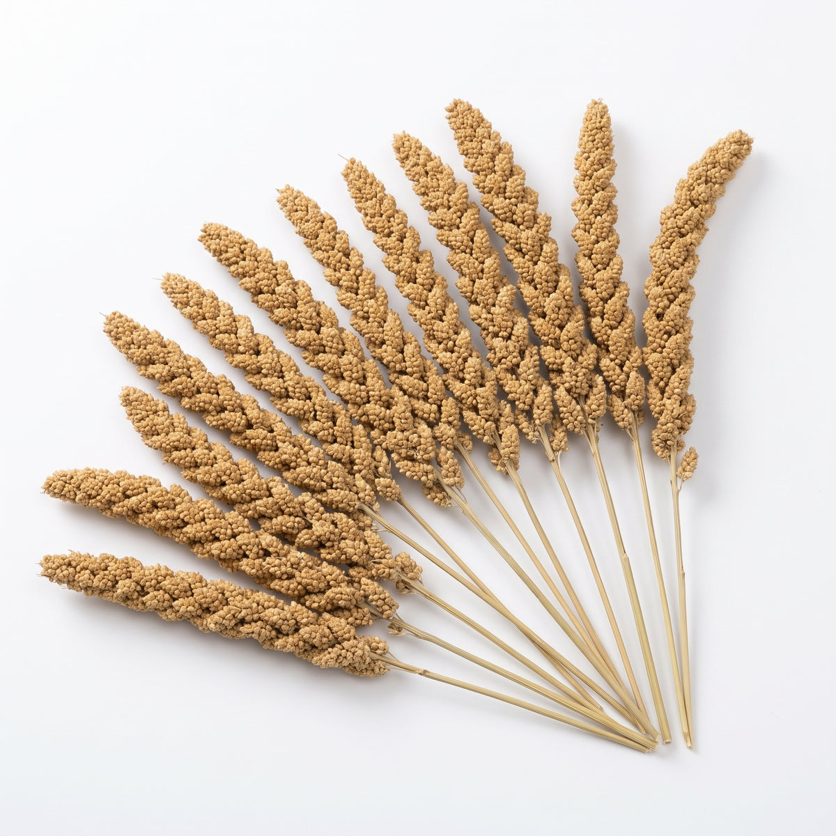 Fakhri Millet Spray - Pack of 50