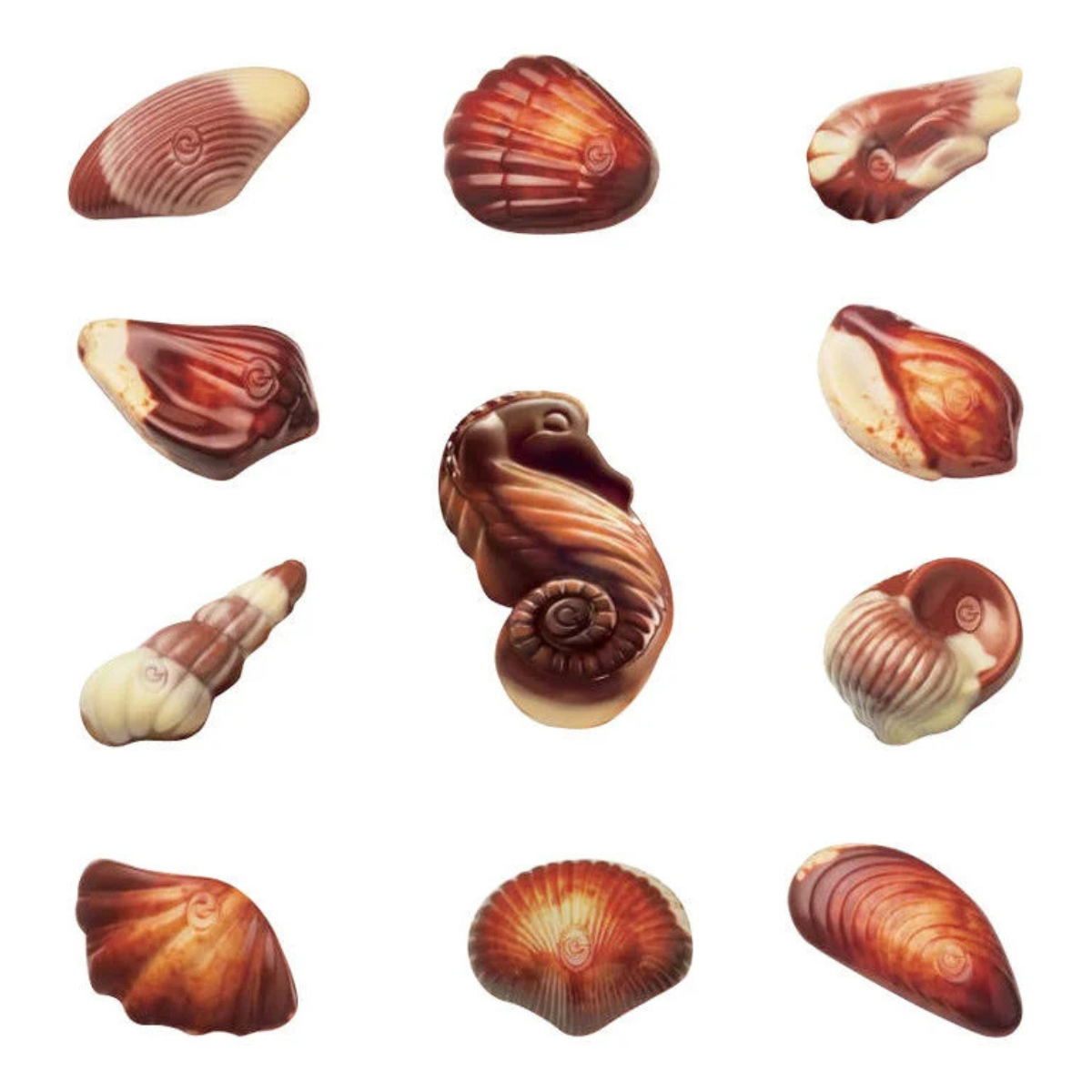 Guylian Seashells 500G Box (Pack of 1)