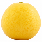 Jackson Grapefruit Each