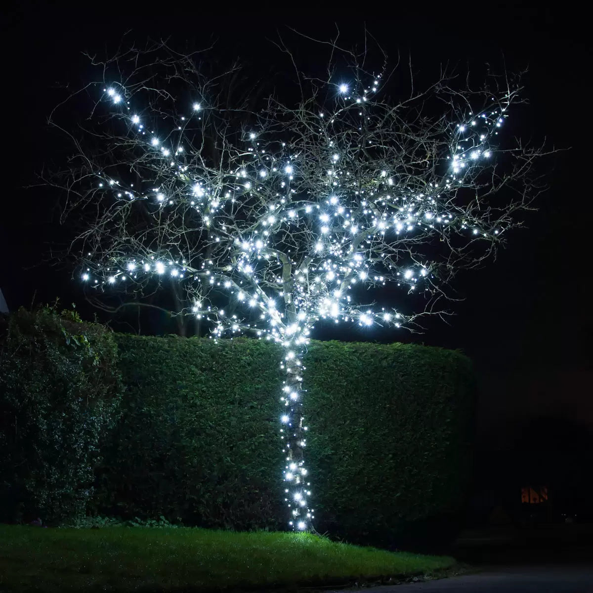 Lights4You 66ft (20m) 120 LED Ice White Outdoor String Lights