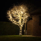 Lights4You 66ft (20m) 120 LED Warm White Outdoor String Lights