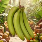 Ripen At Home Bananas Pack of 5